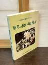 薬草の使い方と漢方