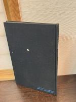 日本の独立プロ