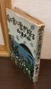 南の島に雪が降る