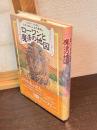 ローワンと魔法の地図