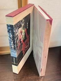 とくしまの祭り : 写真集