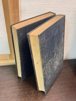 美学　上下巻揃い