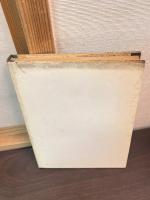 精神分析と現存在分析論