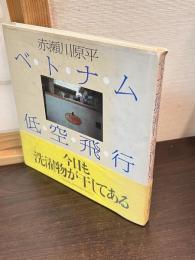 ベトナム低空飛行