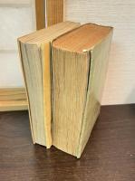 ニーチェの生涯 上・下（若きニーチェ・孤独なるニーチェ）