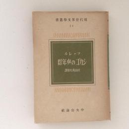 シカゴの少年群　現代世界文学叢書