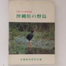 沖縄県の野鳥　写真でみる野鳥図鑑