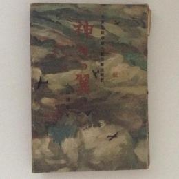 神々の翼　大東亞戦争南方航空撃滅戦記