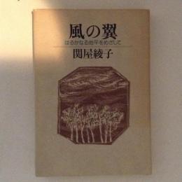 風の翼　はるかなる地平をめざして