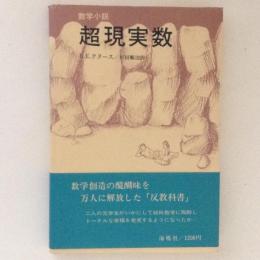 数学小説　超現実数