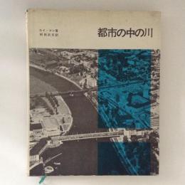 都市の中の川