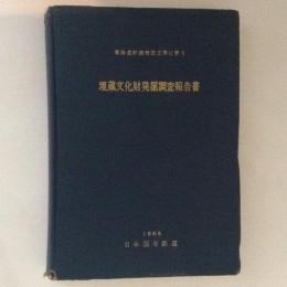 埋蔵文化財発掘調査報告書　東海道幹線増設工事に伴う