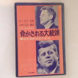 脅かされる大統領 : 秘密警察局長の記録