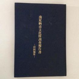 南足柄市文化財調査報告書　沼田城址