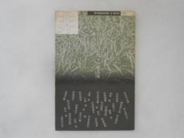 季刊美術批評誌　「非」　1992年増刊号　特集：追悼土肥美夫