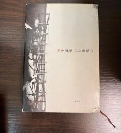 美の襲撃