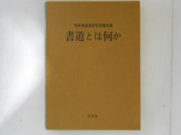 書道とは何か : 阿保直彦退官記念論文集