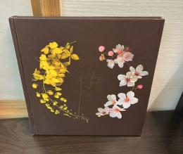 日タイ修好120周年 : 2007