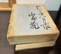 戊辰物語