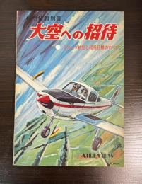 大空への招待 : スポーツ航空と軽飛行機のすべて