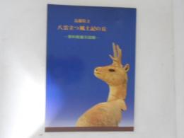 島根県立八雲立つ風土記の丘 : 資料館展示図録