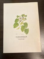 岡谷蚕糸博物館紀要