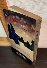宇宙の小石
