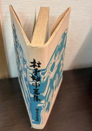 杜子雄中篇集