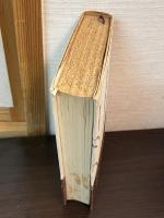 俳句鑑賞読本 （全）