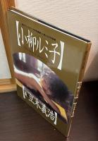 小柳ルミ子写真集