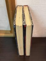 エイゼンシュタイン　　上 (1898-1932)　エイゼンシュタイン 下 (1933-1948)
上・下巻揃 