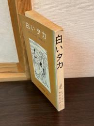 白いタカ