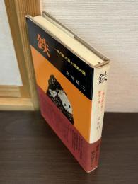 鉄 : 一塊の鉄が語る歴史の謎
