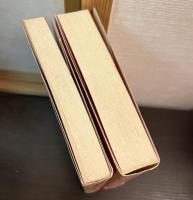 狭野杉物語　上下巻揃い