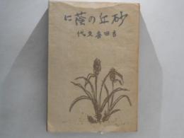 砂丘の蔭に