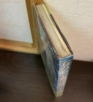 石の心 : 上州の石仏