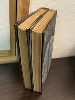 文学におけるマニエリスム : 言語錬金術ならびに秘教的組合わせ術　1と2