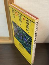 雲南の植物と民俗