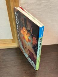 超'70年代スタイル : 1964-1999 : 日本のインテリアの変遷