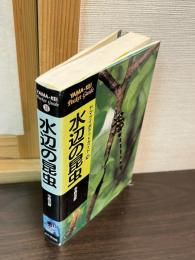 水辺の昆虫
