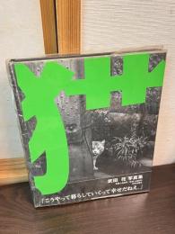 猫 : Tokyo wild cats