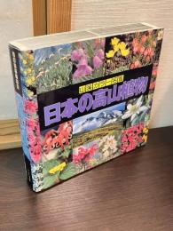 日本の高山植物