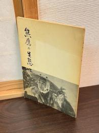 熊鷹の生態