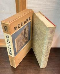 原色化石図鑑