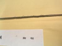 中国仏教美術史の研究