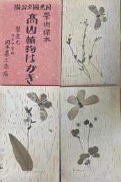 学術標本『高山植物はがき』キジムシロ、シコタンソウ、ミヤマニガナ