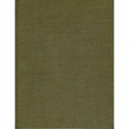 FILIPPINO LIPPI/フィリッピーノ・リッピ研究