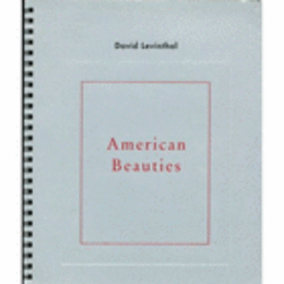 DAVID LEVINTHAL AMERICAN BEAUTIES/デイヴィッド・レヴィンソール展目録