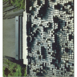 TOSHIAKI TSUKUI/津久井利彰展目録　邦訳コピー付