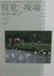 視覚の現場　Vol.７　(2010.11)/
